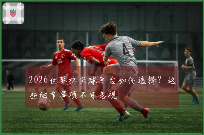 2026世界杯买球平台如何选择？这些细节事项不可忽视